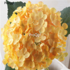 yellow 18usd Ngryise 500pcs Hydrangea macrophylla seed