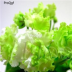 18usd double green Ngryise 3000pcs Saintpaulia ionantha Wendl seed