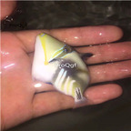 75usd Ngryise Rhinecanthus aculeatus