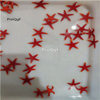 65usd Ngryise Asteroidea red