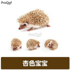 188usd Ngryise beige Erinaceinae
