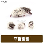 188usd Ngryise rare Erinaceinae