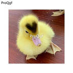 88usd Ngryise yellow duck