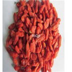 19usd red Ngryise 100Pcs A Set Lycium barbarum seed