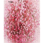 19usd Ngryise pink 6000Pcs A Set Gypsophila paniculata babysbreath seed