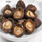 29usd Ngryise 100pcs  Lentinus edodes seed