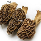29usd Ngryise 100pcs Morchella esculenta seed