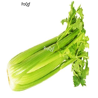 26usd Ngryise 8000Pcs A Set Apium graveolens seed