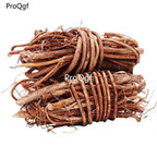 29usd Ngryise 300gram Ficus hirta