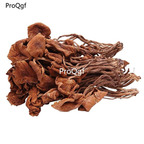 19usd Ngryise 500gram  Agrocybe aegerita