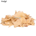 29usd Ngryise 100gram Canna edulis Ker Gawl