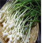 19usd Ngryise 1000pcs Allium macrostemon seed