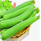 19usd Ngryise 300pcs Luffa cylindrica seed