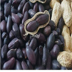 18usd black Ngryise 500pcs Arachis hypogaea peanut seed