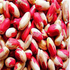 18usd Ngryise colorful 500pcs Arachis hypogaea peanut seed