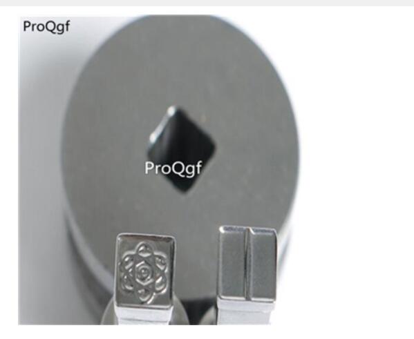 flower Ngryise Punch Press Die Mold