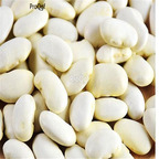 18usd Ngryise 300Pcs Dolicho Lablab seed