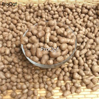18usd 30pcs yam Ngryise Dioscorea oppositifolia seed