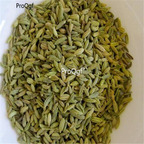 Ngryise 30000Pcs  Foeniculum vulgar seed