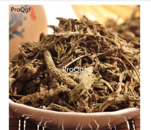 15usd Ngryise 300gram Plantago depressa Willd zhongyao