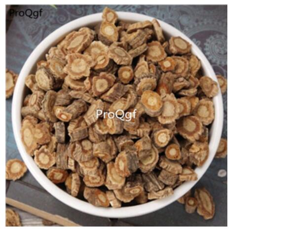 15usd Ngryise 300gram Saposhnikovia divaricata zhongyao