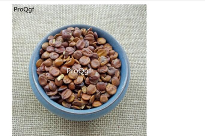 15usd Ngryise 300gram Ziziphus jujuba zhongyao