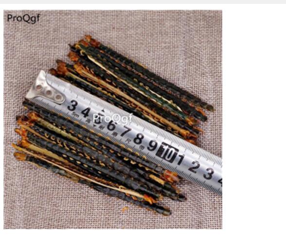 30usd Ngryise 30Pcs A Set Scolopendridae zhongyao
