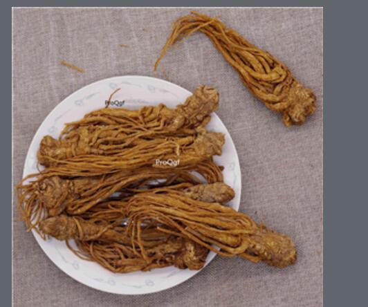 15usd Ngryise 300gram a set Angelica sinensis minxian zhongyao