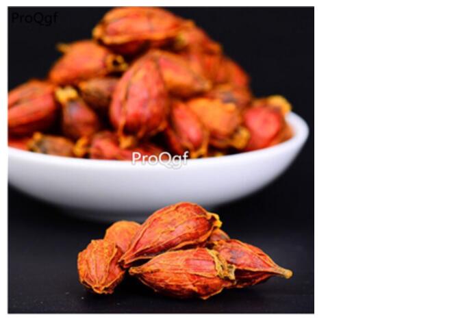 15usd Ngryise 20pcs a set Gardenia jasminoides seed