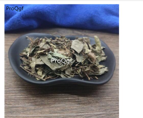15usd Ngryise Trachelospermumjasminoides zhongyao