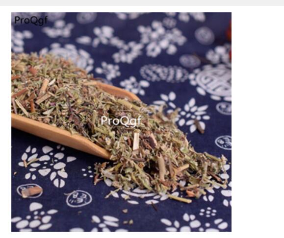 15usd Ngryise 300gram Potentilla discolor zhongyao