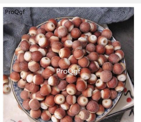 15usd Ngryise 300gram   Euryale ferox zhongyao