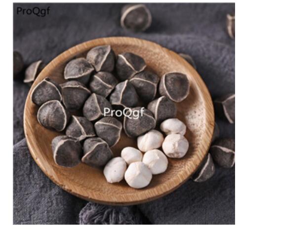 15usd Ngryise 300pcs moringa tree seed