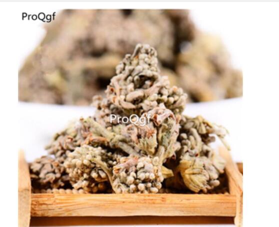 15usd Ngryise 300gram Buddleja officinalis Maxim  zhongyao