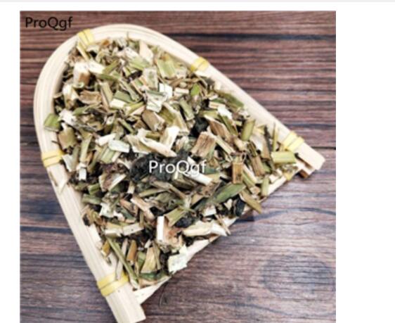 18usd Ngryise 300gram Solanum nigrum