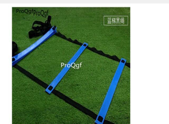 16usd Ngryise 1 Set 3meter 6 runge Rung Nylon Straps Training Ladders Agility Speed