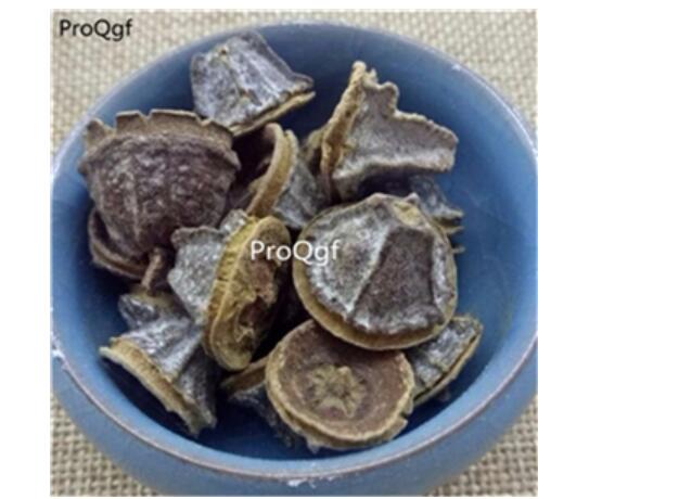 26usd Ngryise 300Gram Eucalyptus globulus fruit zhongyao