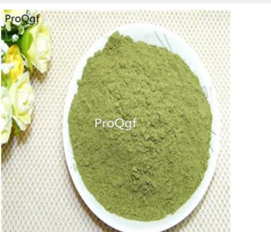 18usd Ngryise 300gram Phryma leptostachya powder