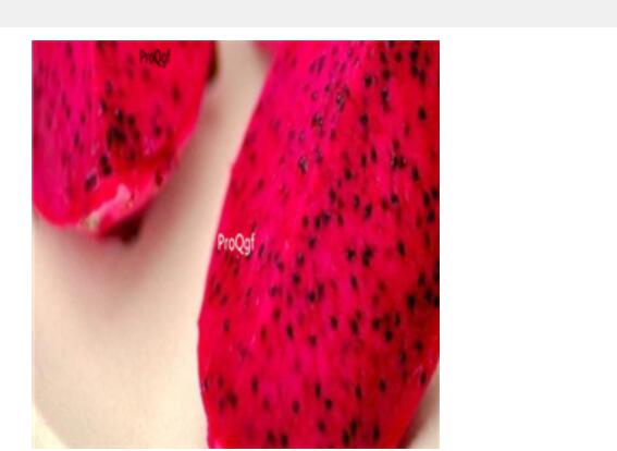 15usd Ngryise 3000pcs red dragon fruit seed