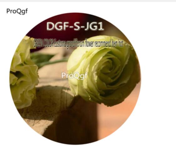 16usd Ngryise3000Pcs A Set Green Color Eustoma Grandiflorum Flower Recommend Item hot Seed DGF-S-JG1