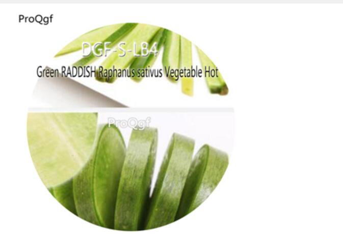 16usd Ngryise 2000Pcs A Set Green RADDISH Raphanus sativus Vegetable Hot Seed DGF-S-LB4