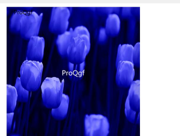 10usd dark blue Ngryise 10pcs Tulipa gesneriana tulip Flower Bulb