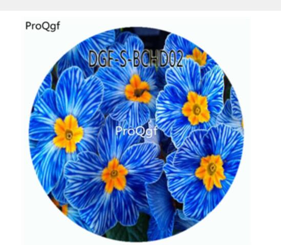 18usd Ngryise 100Pcs A Set Blue Stripe Color Primula Malacoides Flower Hot Seed DGF-S-BCHD02