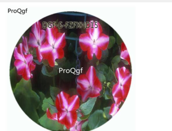 18usd Ngryise100Pcs A Set Red White Stripe Color Impatiens Walleriana Flower Hot Seed DGF-S-FZFXHD15