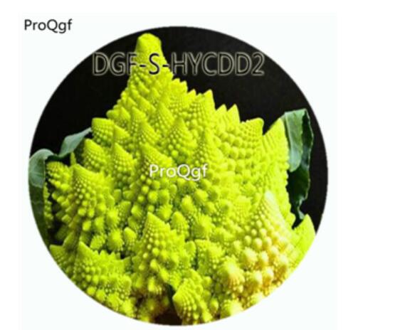 18usd Ngryise 100Pcs A Set Green Color Brassica Oleracea Botrytis Vegetable Hot Seed DGF-S-HYCDD2