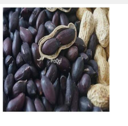18usd black Ngryise 500pcs Arachis hypogaea peanut seed