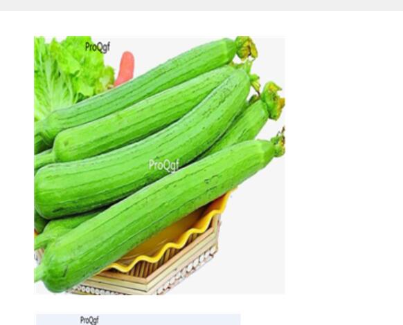 19usd Ngryise 300pcs Luffa cylindrica seed