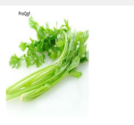 29usd Ngryise 1000pcs Petroselinum crispum seed