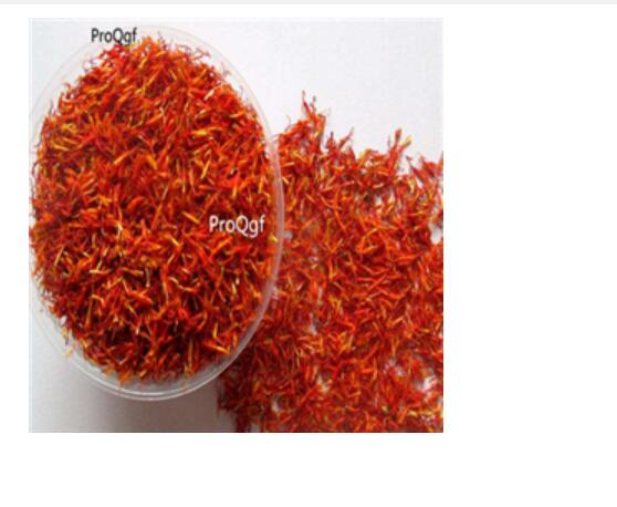 29usd Ngryise 100pcs Carthamus tinctorius seed