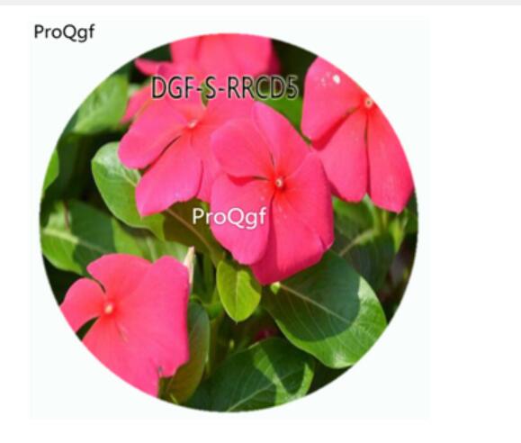19usd Ngryise 100Pcs A Set Watermelon Red Color Catharanthus Roseus Flower Hot Seed DGF-S-RRCD5